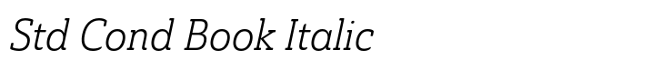 Ainslie Slab Std Cond Book Italic