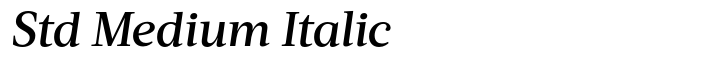 Acta Std Medium Italic
