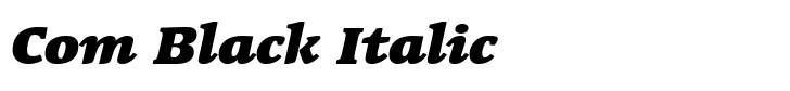 Linotype Syntax Serif Com Black Italic
