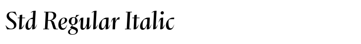 Abstract Std Regular Italic