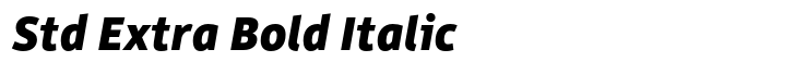 Rehn Std Extra Bold Italic