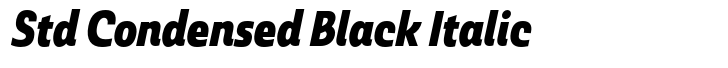 Ashemore Std Condensed Black Italic