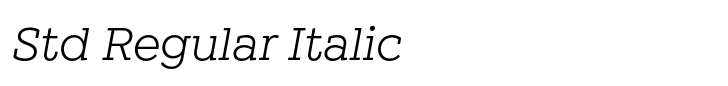 Winden Std Regular Italic