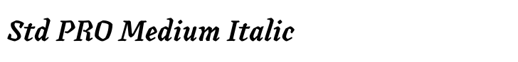 Canilari Std PRO Medium Italic