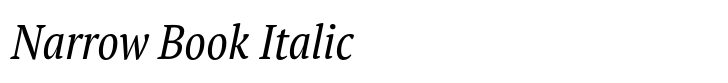 PT Serif Pro Narrow Book Italic