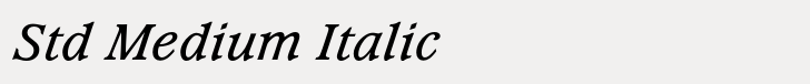 Waverly Std Medium Italic