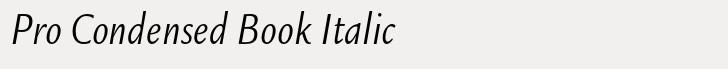 ITC Legacy Sans Pro Condensed Book Italic