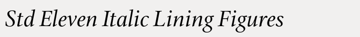Cycles Std Eleven Italic Lining Figures