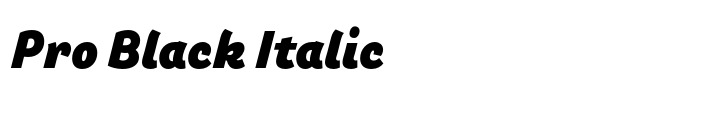 Arlette Pro Black Italic