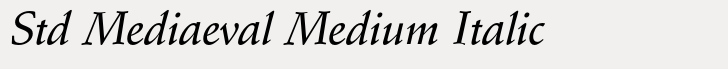 Schneidler Std Mediaeval Medium Italic