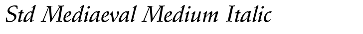 Schneidler Std Mediaeval Medium Italic
