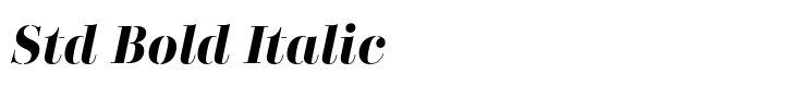 Didonesque Stencil Std Bold Italic