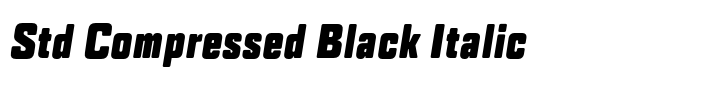 TT Lakes Std Compressed Black Italic