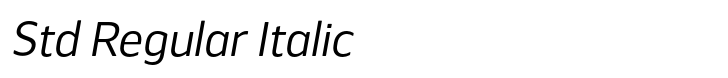 Webnar Std Regular Italic