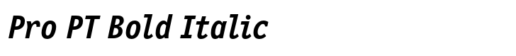 New Letter Gothic Pro PT Bold Italic