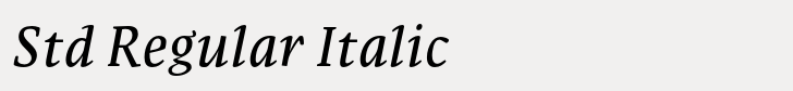 FF Parable Std Regular Italic