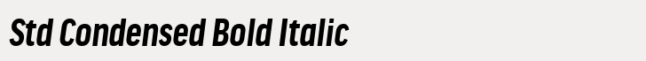 FF Good Headline Std Condensed Bold Italic