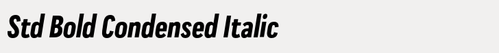 Praktika Std Bold Condensed Italic