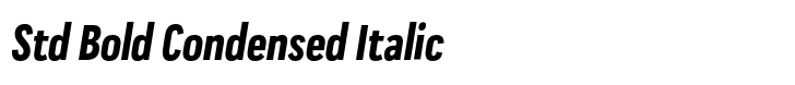 Praktika Std Bold Condensed Italic