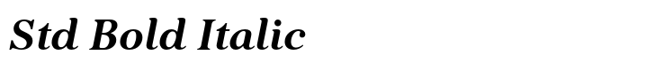 Kostic Serif Std Bold Italic