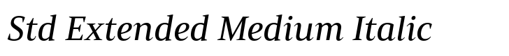 Mandrel Std Extended Medium Italic