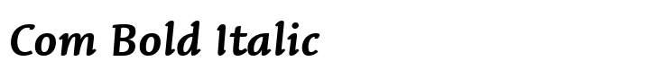 Linotype Syntax Letter Com Bold Italic