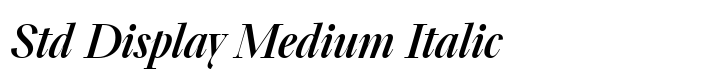 TT Livret Std Display Medium Italic