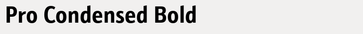 Schnebel Sans Pro Pro Condensed Bold