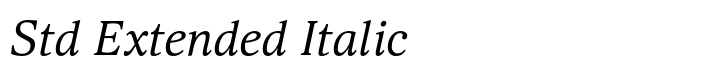 Selina Std Extended Italic