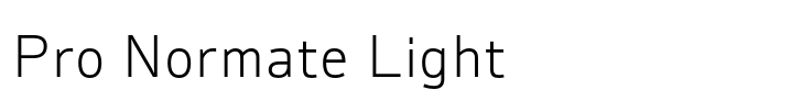 Ambiguity Pro Normate Light