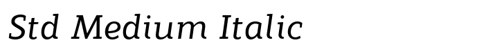 Modum Std Medium Italic