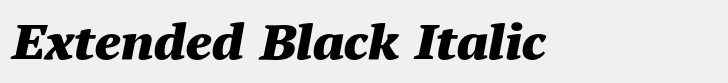 PT Serif Pro Extended Black Italic