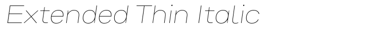 Bruta Pro Extended Thin Italic