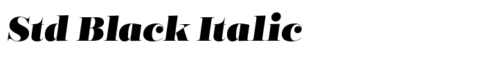 Encorpada Classic Std Black Italic
