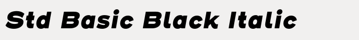 Henderson Sans Std Basic Black Italic