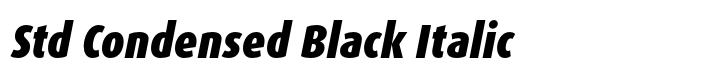 FF Dax Std Condensed Black Italic