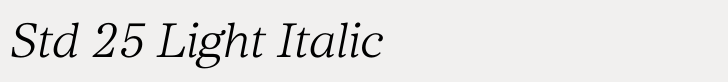 Core Serif N Std 25 Light Italic