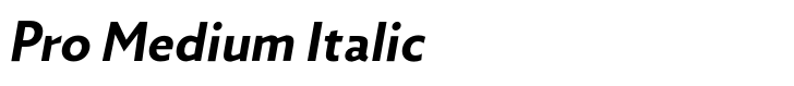 Zigfrid Pro Medium Italic