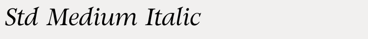 Witchcraft Std Medium Italic