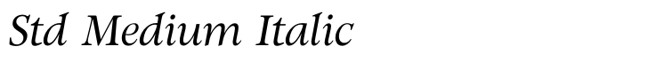 Witchcraft Std Medium Italic