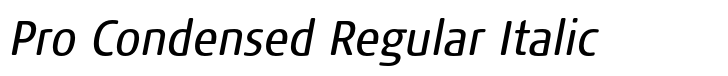 FF Signa Round Pro Condensed Regular Italic