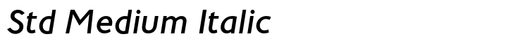 Maisee Std Medium Italic