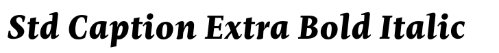 Mastro Std Caption Extra Bold Italic