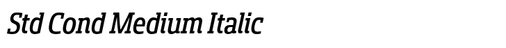 Sancoale Slab Std Cond Medium Italic