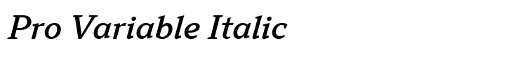 TT Norms Pro Serif Pro Variable Italic