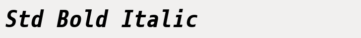Eco Coding Std Bold Italic