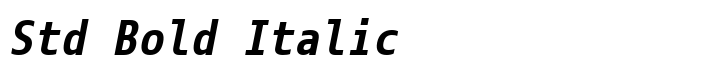 Eco Coding Std Bold Italic