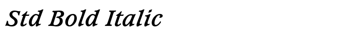 Waverly Std Bold Italic