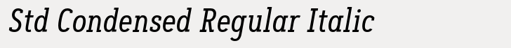 Artegra Slab Std Condensed Regular Italic