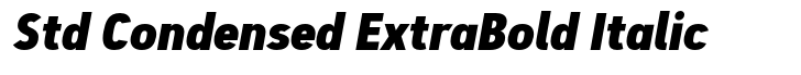 Artegra Sans Std Condensed ExtraBold Italic